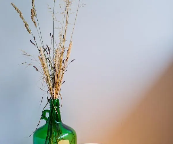 Unique Modernist Duplex & Parking Oporto